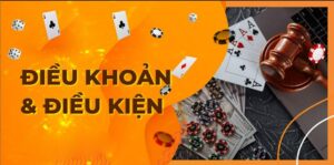 Những thông tin cơ bản về điều khoản điều kiện King88