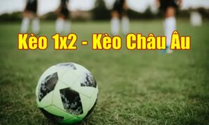 Top 3 hình thức cược được ưa chuộng nhất tại hệ thống